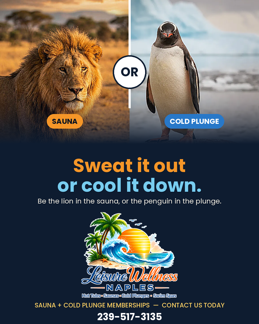 Sweat it out or cool it down — sauna + cold plunge memberships