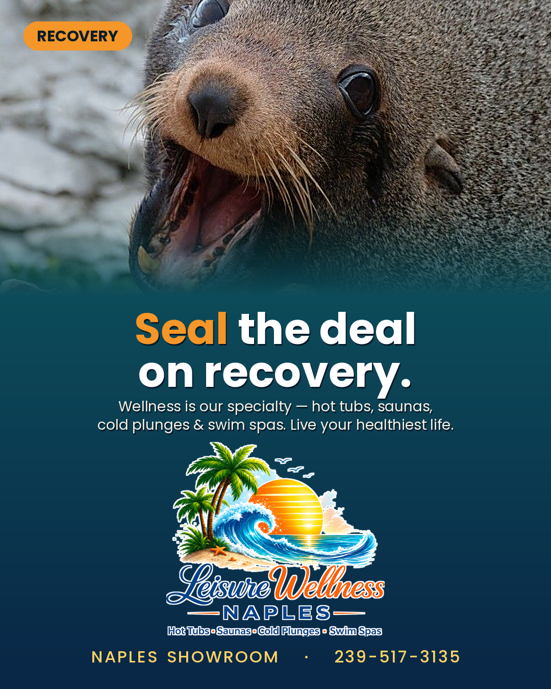 Seal the deal on recovery — hot tubs, saunas, cold plunges & swim spas
